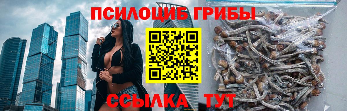 МЕФ Дивногорск
